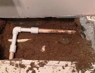 尼木测漏水哪家好