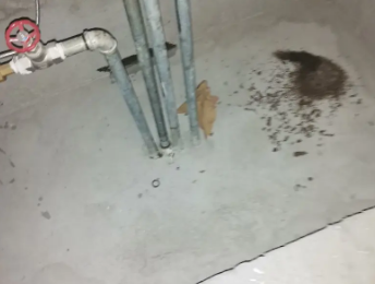 尼木卫生间测漏水价格明细