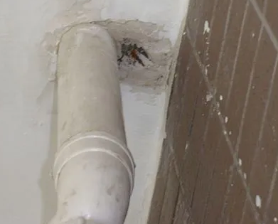 尼木漏水检测哪家好